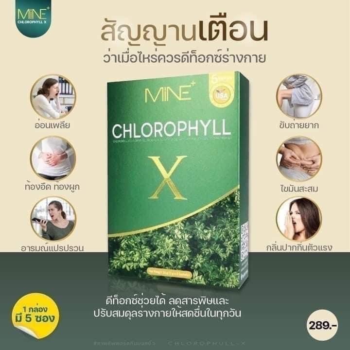 มายคลอโรฟิลล์-คลอโรฟิลล์-มายมิ้นท์-mine-chlorophyll