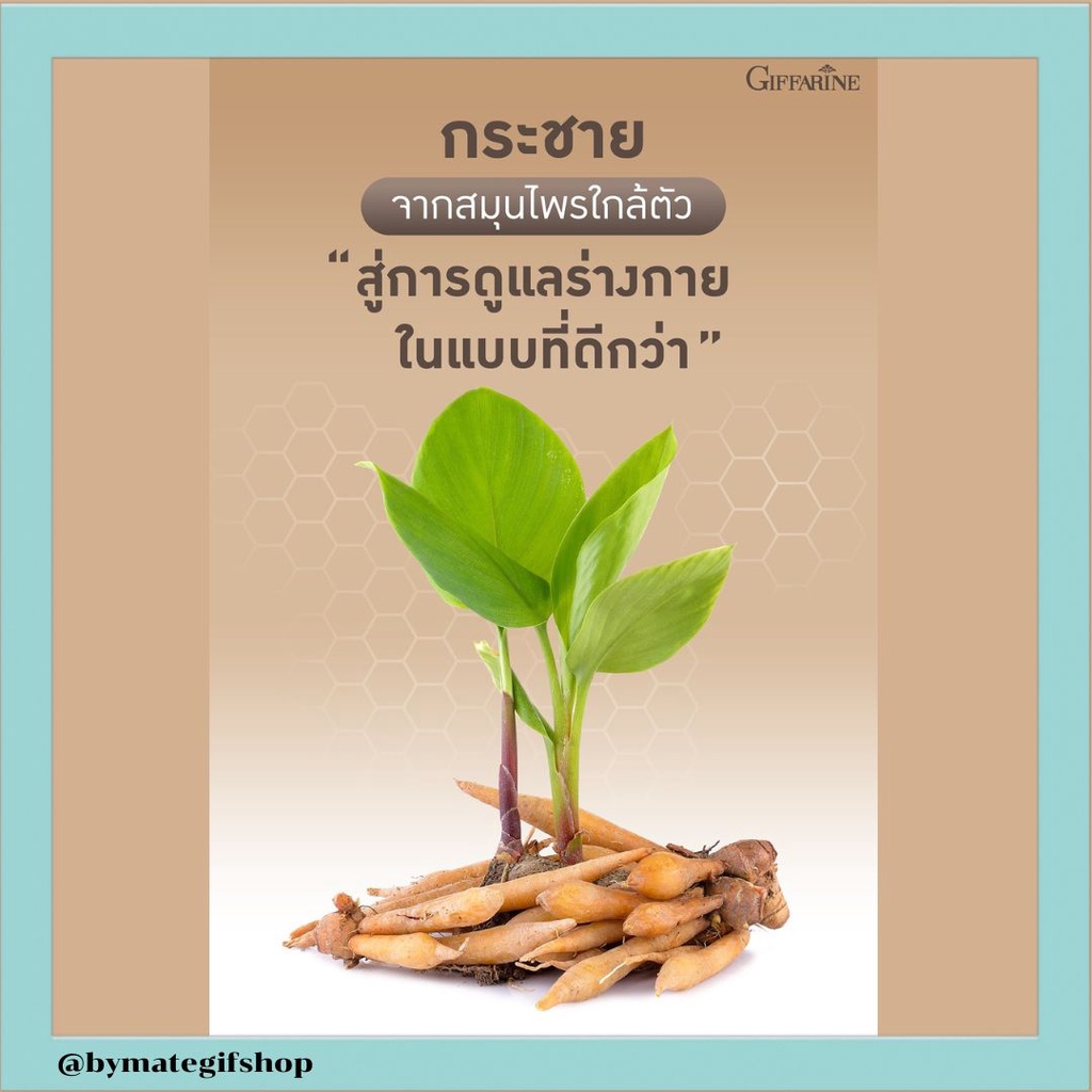 กระชาย-พลัส-จากสมุนไพรใกล้ตัวสู่การดูแลร่างกาย-ดูแลตัวเองได้ง่ายๆในแบบที่ดีกว่า