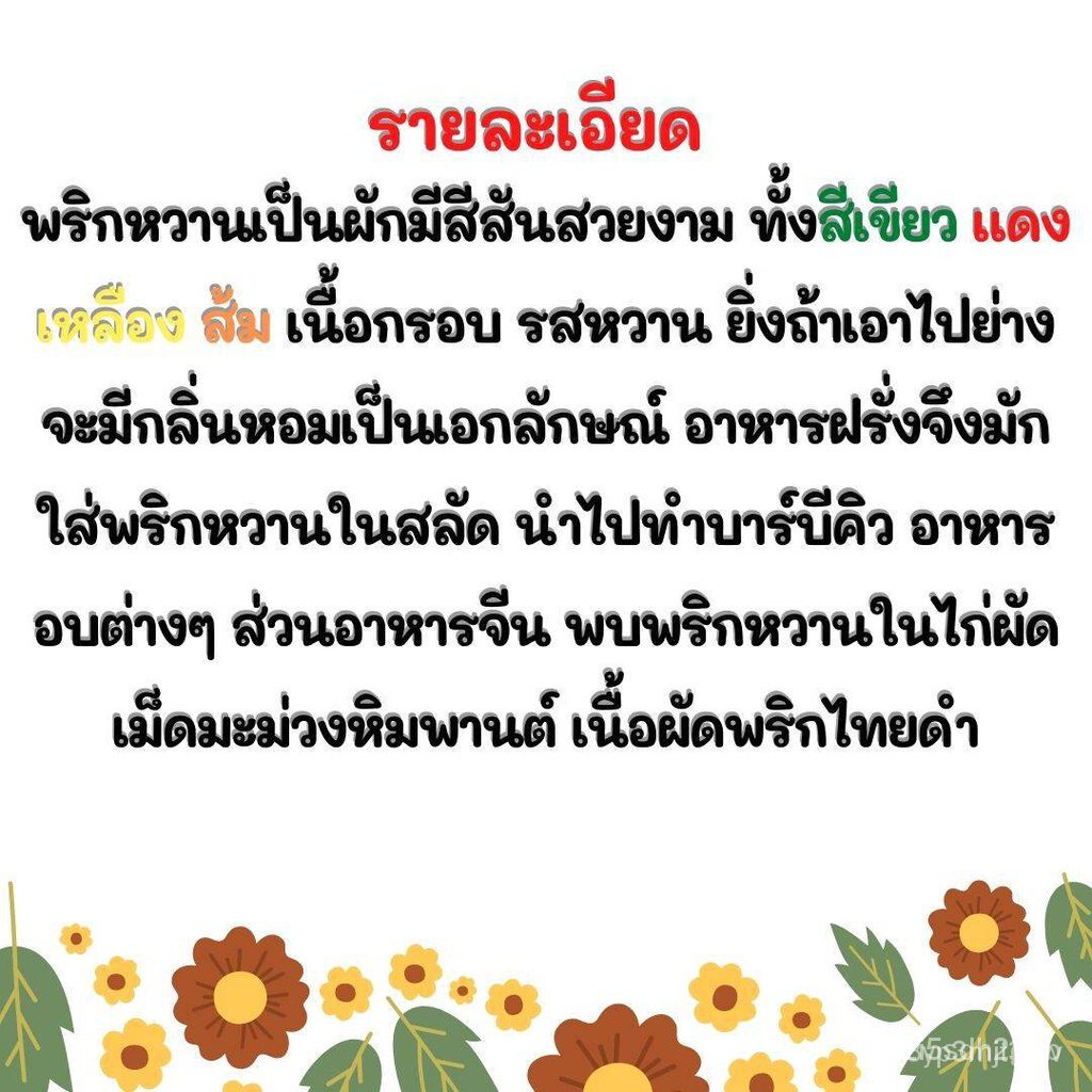 ผลิตภัณฑ์ใหม่-เมล็ดพันธุ์-จุดประเทศไทย-เมล็ดอวบอ้วน-พริกหวานสีม่วง-purple-sweet-pepper-seed-บรรจุ-20-เมล็ด-เ-คล-เ-cj6