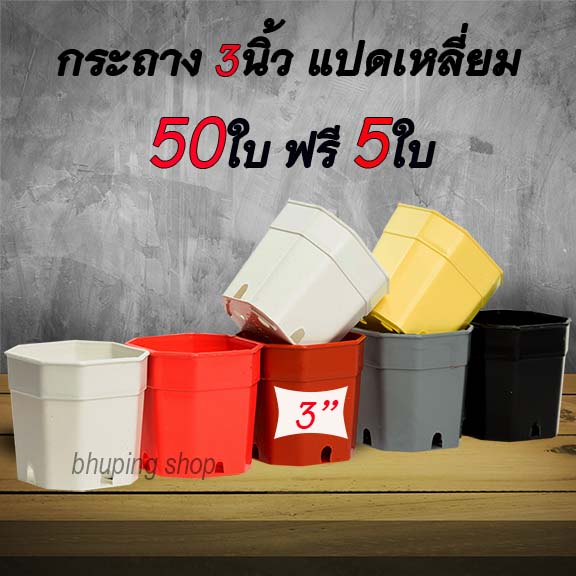 กระถางแปดเหลี่ยม-3นิ้ว-ชุด-50ใบ-ฟรี-5ใบ-กระถางแปดเหลี่ยม-กระถางแคคตัส-กระถางต้นไม้-หนา-ทนทาน