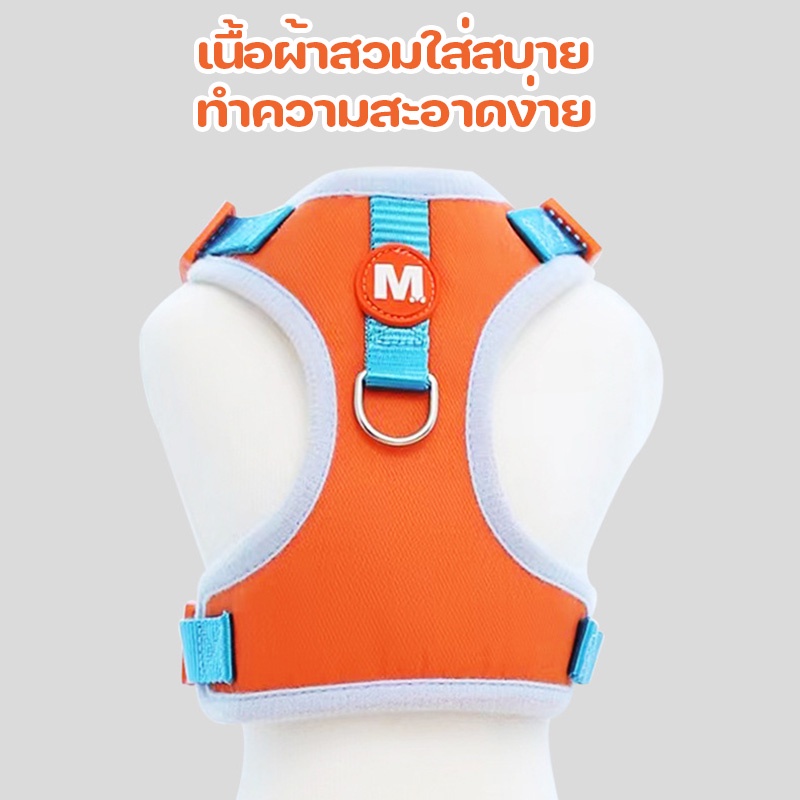cod-สายจูงสัตว์เลี้ยง-สายจูงสุนัข-สายรัดอกสุนัข-สายจูงน่ารัก-สัตว์เลี้ยงอุปกรณ์เสริม-สายจูงแมว-สายจูงหมาเล็ก
