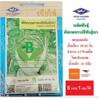 5 ฟรี 1 คละได้ เมล็ดพันธุ์ ผักกาดขาวปลีพันธุ์เบา เจียไต๋  เมล็ดพันธุ์ผัก เมล็ดผัก เมล็ดพันธุ์พืช  เมล็ดพืข ผักสวนครัว