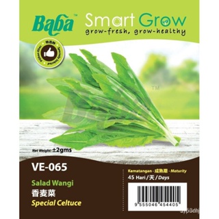 ผลิตภัณฑ์ใหม่ เมล็ดพันธุ์ จุดประเทศไทย ❤Baba Smart Grow seeds VE-065 Special Celtuce ฮ่องกง麦菜 Benih Salad Wangi คล/ขา 4U