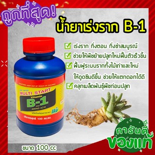 น้ำยาเร่งรากบีวัน 💥 ยาเร่งรากB-1 สารเร่งราก อาหารเสริมพืช ช่วยให้พืชแตกรากได้ดี