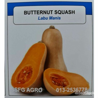 ผลิตภัณฑ์ใหม่ เมล็ดพันธุ์ จุดประเทศไทย ❤เมล็ดพันธุ์BENIH Labu Manis Butternut Squash (5 seeds)เมล็ดอวบอ้วน 100% รอ/เ UF6