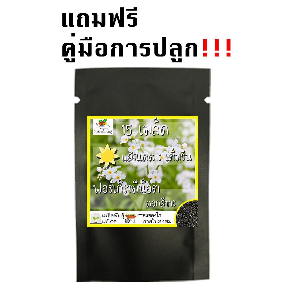 ผลิตภัณฑ์ใหม่-เมล็ดพันธุ์-เมล็ดพันธุ์คุณภาพสูงในสต็อกในประเทศไทย-พร้อมส่งเมล็ดอวบอ้วน-ฟอร์เก็ตมีน็อต-ดอกสีขาว-t-คล-เมล็ด