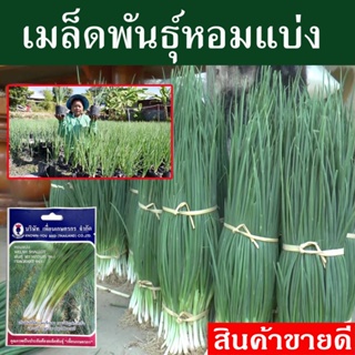 เมล็ดพันธุ์หอมแบ่ง ปลูกง่าย โตเร็ว ต้นหอม เมล็ดพันธุ์ เมล็ดพันธุ์ผัก เมล็ดพันธุ์พืช ผักสวนครัว ต้นใหญ่ ใบหนา ปลูกง่าย