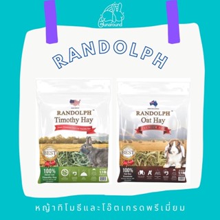 Bunaround - Randolph Timothy &amp; Oat หญ้าทิโมธีและโอ๊ตเกรดพรีเมี่ยมคุณภาพสูง สำหรับกระต่ายและสัตว์เล็ก (500g)