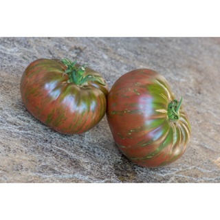 ผลิตภัณฑ์ใหม่ เมล็ดพันธุ์ 2022เมล็ดอวบอ้วน มะเขือเทศ (Dark Queen Tomato Seeds)เมล็ดอวบอ้วน 100% รอคอยที่จะให้ควา ค/เมล็