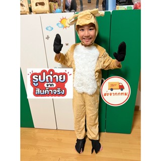 ส่งจากไทย ชุดกวาง ชุดกวางเรนเดียร์  ชุดแฟนซีกวาง สำหรับเด็ก ได้4อย่างครบชุดตามรูป คอสเพลกวาง fancyกวาง ชุดคริสต์มาส