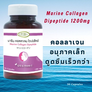 มารีน คอลลาเจน ไดเปปไทด์ 1,200 มก. ดูดซึมเร็ว นำเข้าจากญี่ปุ่น +คิวเท็น+วิตามินอี Marine Collagen Dipeptide ผิวกระชับ