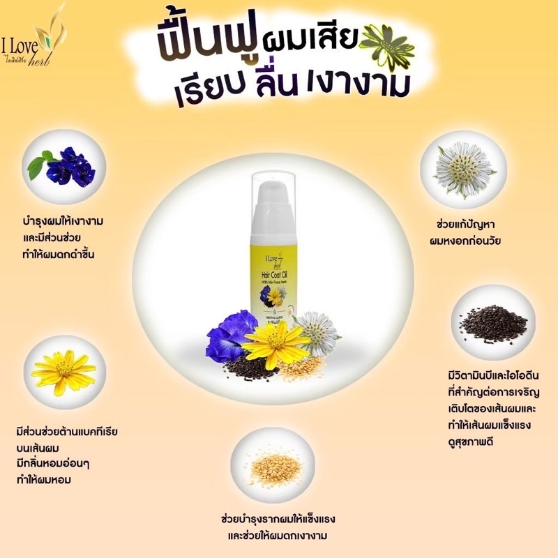 hair-coat-oil-ผลิตภัณฑ์บำรุงเส้นผม