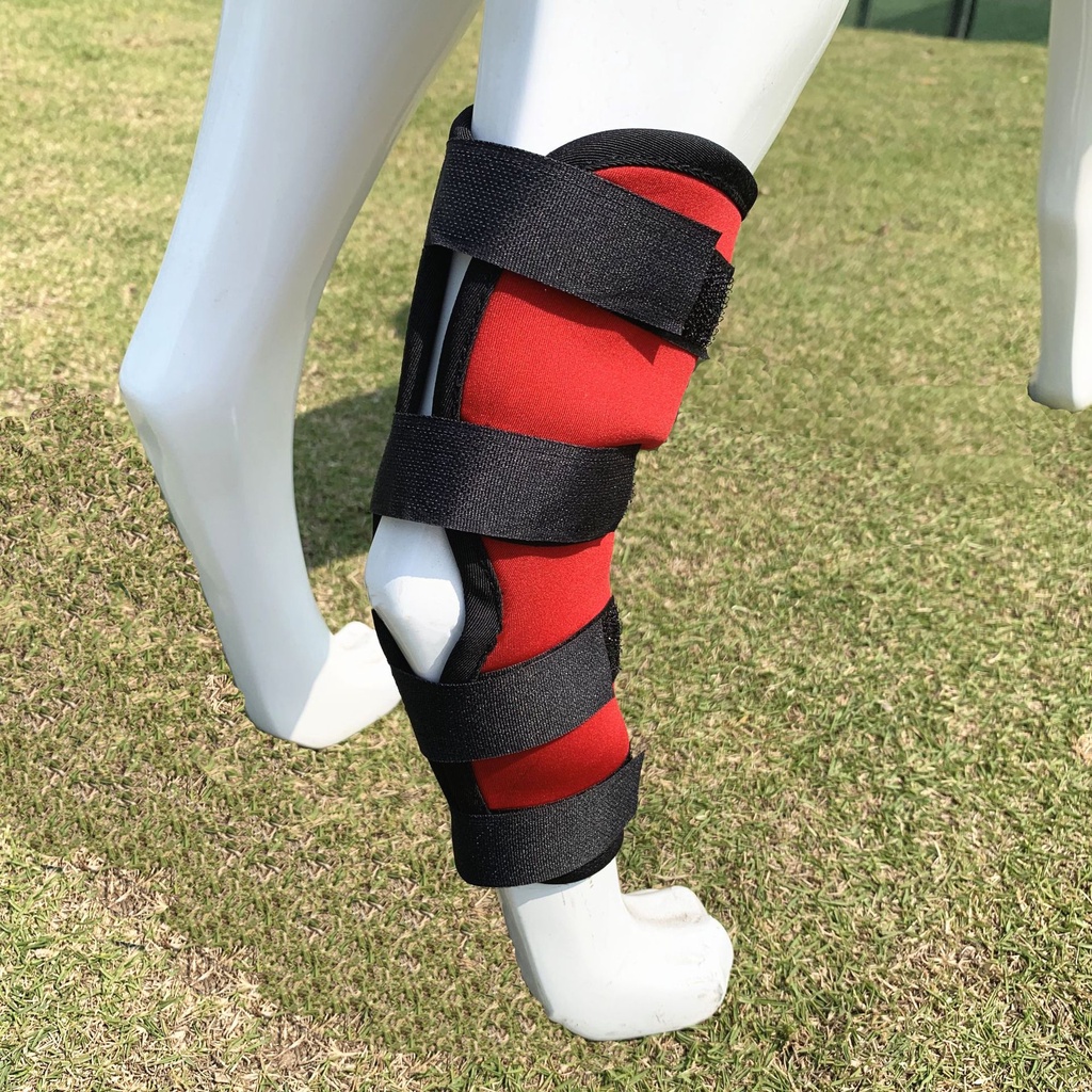 Photo inspiration: Fresh Look at Pet Injury Prevention Lick Guard Leg Support Hock Doglemi ผ
