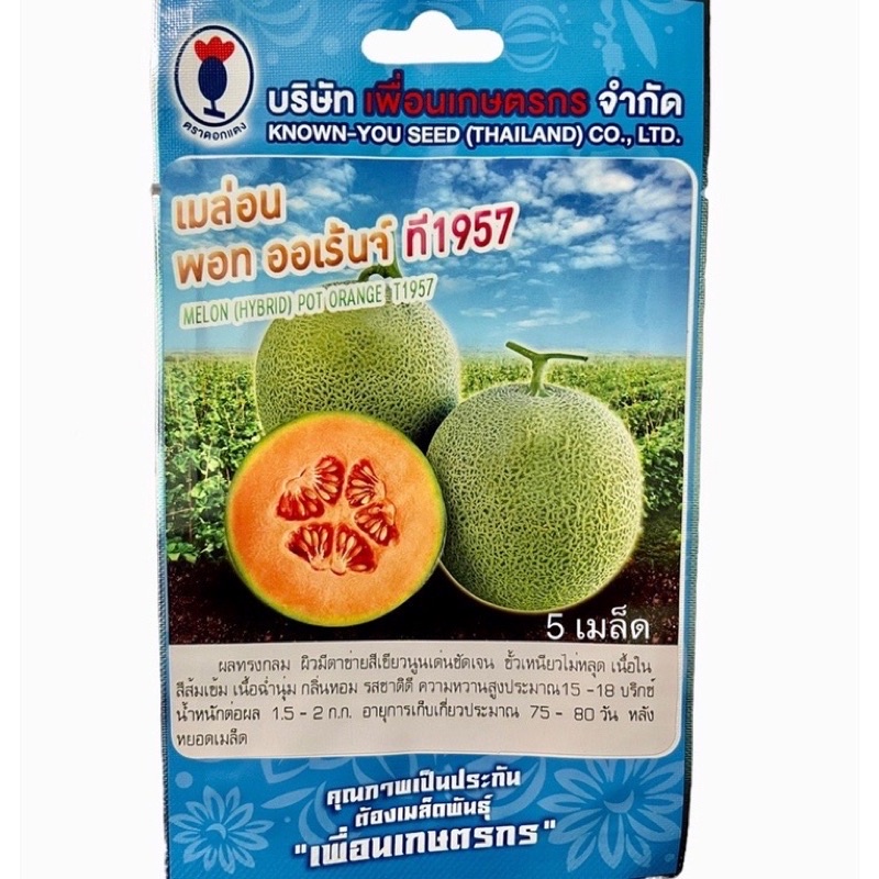 เมล่อน-กรีนเน็ต-8-เมล็ด-เมล่อน-พอท-ออเร้นจ์-5-เมล็ด