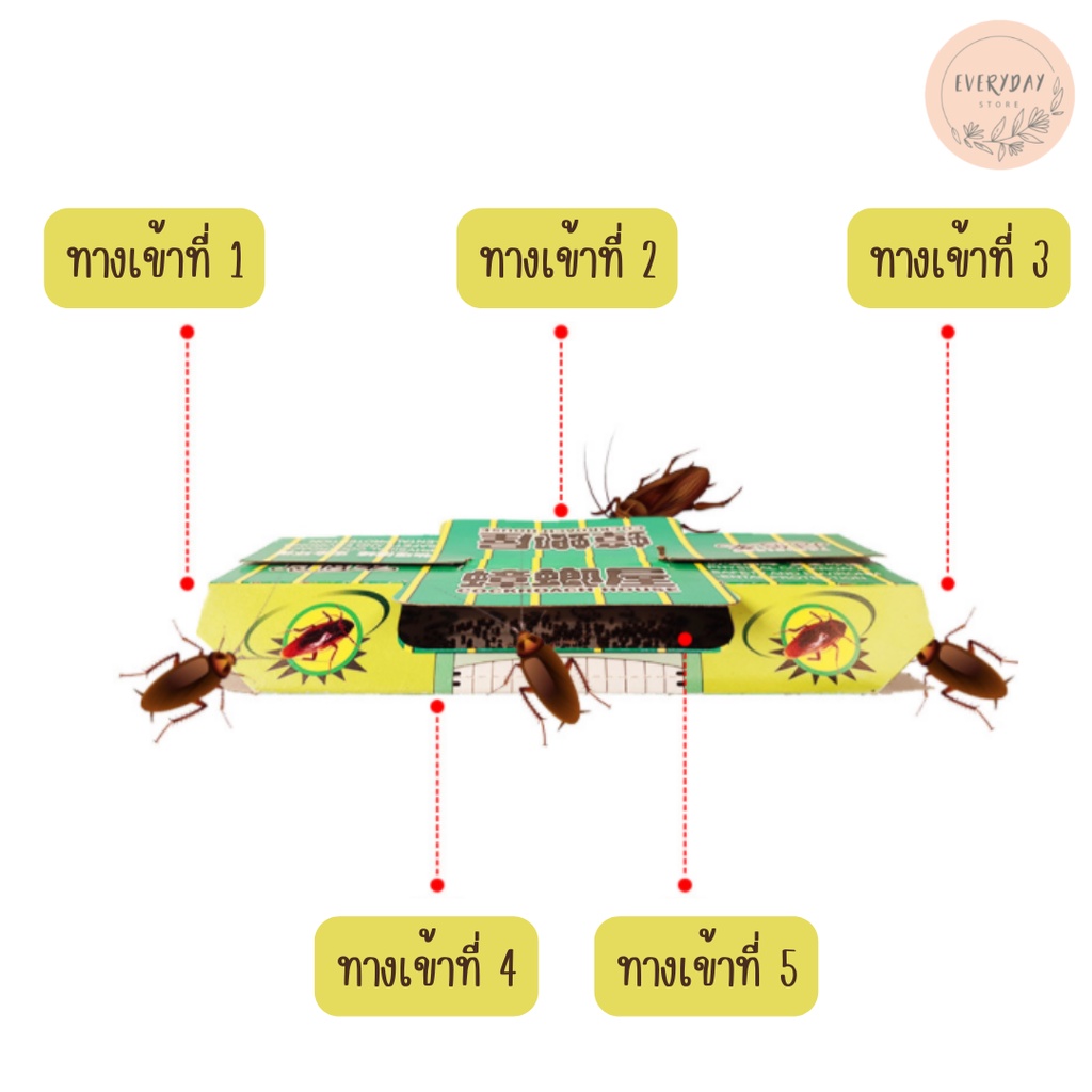 บ้านแมลงสาบ-เหยื่อแมลงสาบ-กาวดักแมลงสาบ-กาวดักแมลงสาบสำเร็จรูป-ปลอดภัยไร้สารพิษ-บ้านดักแมลง-กับดักแมลงสาบ-จิ้งจก-แมลง