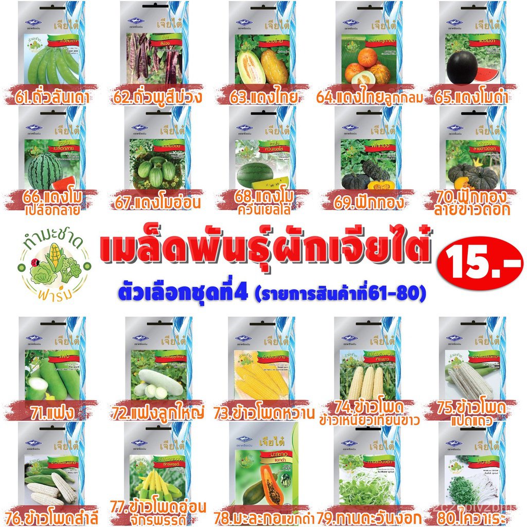 ผลิตภัณฑ์ใหม่-เมล็ดพันธุ์-เมล็ดพันธุ์คุณภาพสูงในสต็อกในประเทศไทย-พร้อมส่ง-10แถม2-เจียไต๋-เมล็ดอวบอ้วน-ฟักทองลาย-ค-เ-rgk