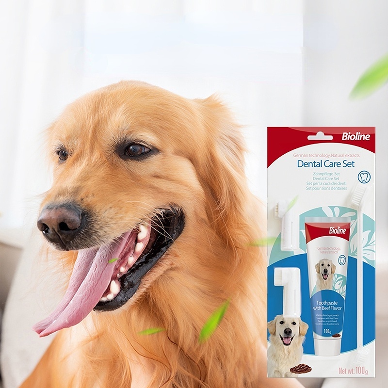 ภาพหน้าปกสินค้าพร้อมส่ง  Bioline ชุดแปรงฟันสัตว์เลี้ยง ยาสีฟันหมา ปลอดภัยและกินได้ แปรงฟันหมา แปรงฟันแมว จากร้าน vwumk88yk_ บน Shopee