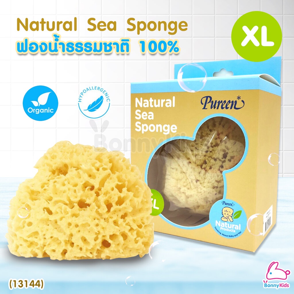 13144-pureen-เพียวรีน-natural-sea-sponge-ฟองน้ำธรรมชาติแท้-100-ไซส์-xl
