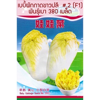 （คุณภาพสูง เมล็ด）เมล็ด เบบี้ผักกาดขาวปลี #.2   Baby Chinese Cabbane พันธุ์เบา สายพันธุ์ F1 บร/ง่าย ปลูก สวนครัว /ผักสลัด