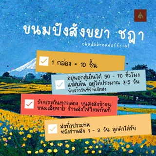 ภาพขนาดย่อของภาพหน้าปกสินค้าขนมปังสังขยา ชฎา ไส้สังขยาใบเตย  กล่อง 10 ชิ้น  Chada Bread Official  Pandan Coconut Custard Bun จากร้าน ranon1234 บน Shopee ภาพที่ 3