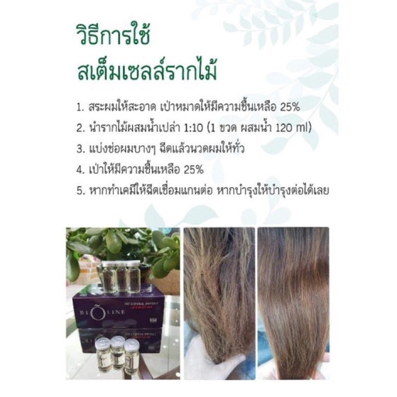 สเต็มเซลล์รากไม้-bioline-active-pre-chemical-ampoule-12ml-ไบโอลายน์-แอคทีฟ-พรี-เคมีเคิล-แอมิล