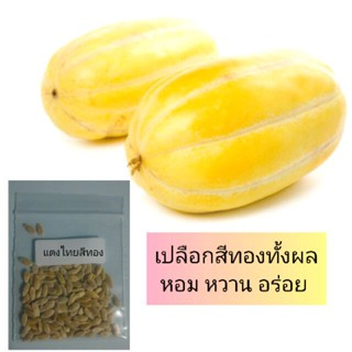 （คุณภาพสูง เมล็ด）เมล็ดผัก เมล็ดพันธุ์แตงไทยทอง100เมล็ด/คละ ผัก ปลูก สวนครัว คละ/คละ CKFX
