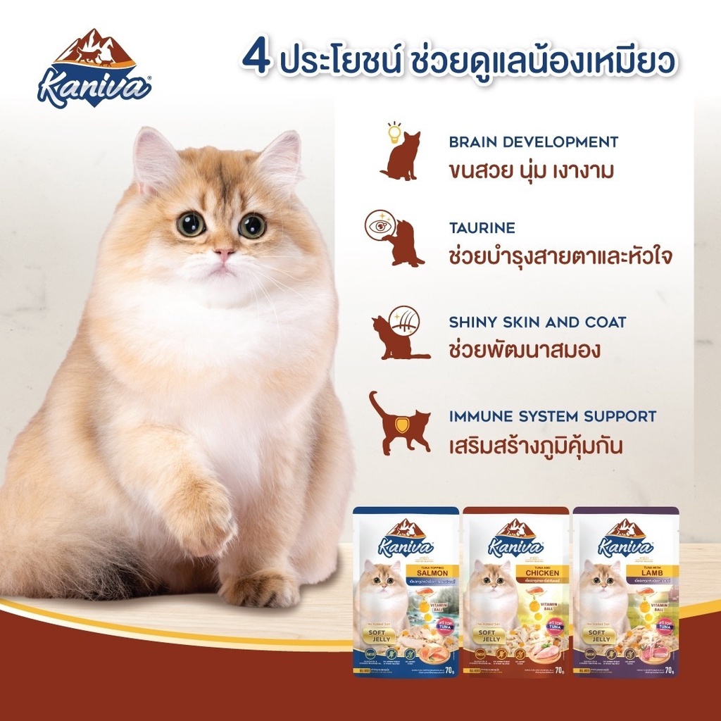 kaniva-อาหารแมวชนิดเปียก-สูตรสำหรับแมว-6-เดือนขึ้นไป-แบ่งขายแบบซอง-70กรัม