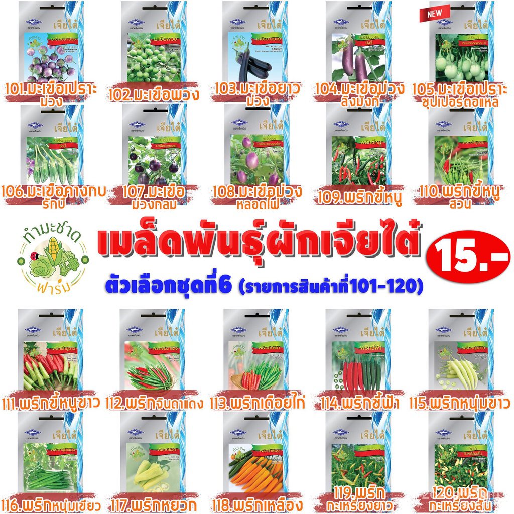ผลิตภัณฑ์ใหม่-เมล็ดพันธุ์-เมล็ดพันธุ์คุณภาพสูงในสต็อกในประเทศไทย-พร้อมส่ง-10แถม2-เจียไต๋-เมล็ดอวบอ้วน-ฟักทองลาย-ค-เ-rgk