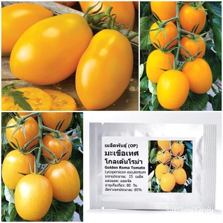 ผลิตภัณฑ์ใหม่ เมล็ดพันธุ์ 2022เมล็ดอวบอ้วน มะเขือเทศ โกลเด้นโรม่า Golden Roma Tomato Seed บรรจุ 25 เมล็ด คุณภาพ /ดอก HSR