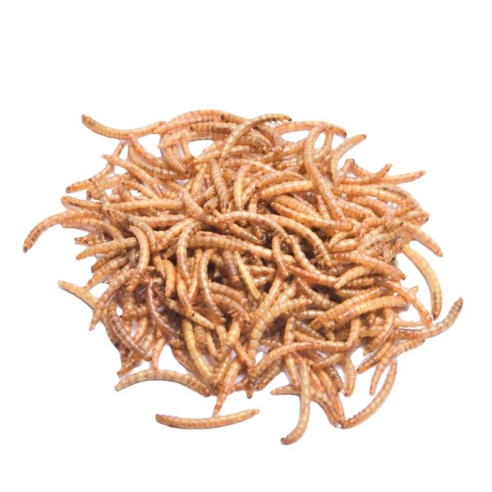 dried-mealworms-100g-หนอนนก-หนอนอบแห้ง-100กรัม