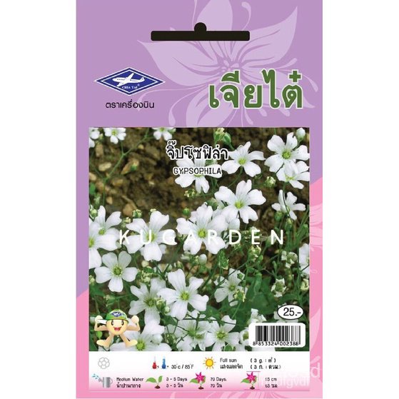 ผลิตภัณฑ์ใหม่-เมล็ดพันธุ์-2022chiatai-เมล็ดอวบอ้วนดอกไม้-เจียไต๋-h029-จิ๊ปโซฟิล่า-เมล็ดอวบอ้วน-ดอกไม้-เมล็ดด-คล-ขา-7f