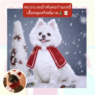 BN-273 หมวกเเละผ้าพันคอกำมะหยี่ เสื้อคลุมคริสต์มาส เครื่องแต่งกายchristmas ชุดสัตว์เลี้ยง ราคาถูก พร้อมส่ง🎅🏻🤟🏻