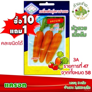ผลิตภัณฑ์ใหม่ เมล็ดพันธุ์ จุดประเทศไทย ❤เมล็ดพันธุ์[10แถม1] 3A เมล็ดอวบอ้วน แครอท 2,800  เมล็ด หัวสวย เนื้อส้ม เมล/เ DJF