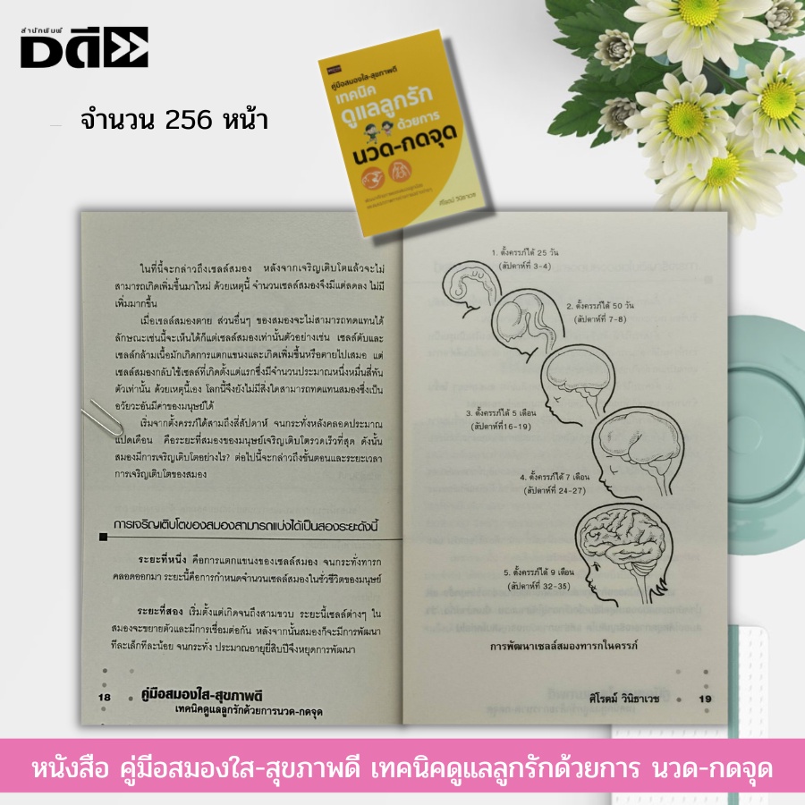 หนังสือ-คู่มีอสมองใส-สุขภาพดี-เทคนิคดูแลลูกรักด้วยการ-นวด-กดจุด-สุขภาพลูกน้อย-คู่มือเลี้ยงลูก-พัฒนาสมองลูกรัก