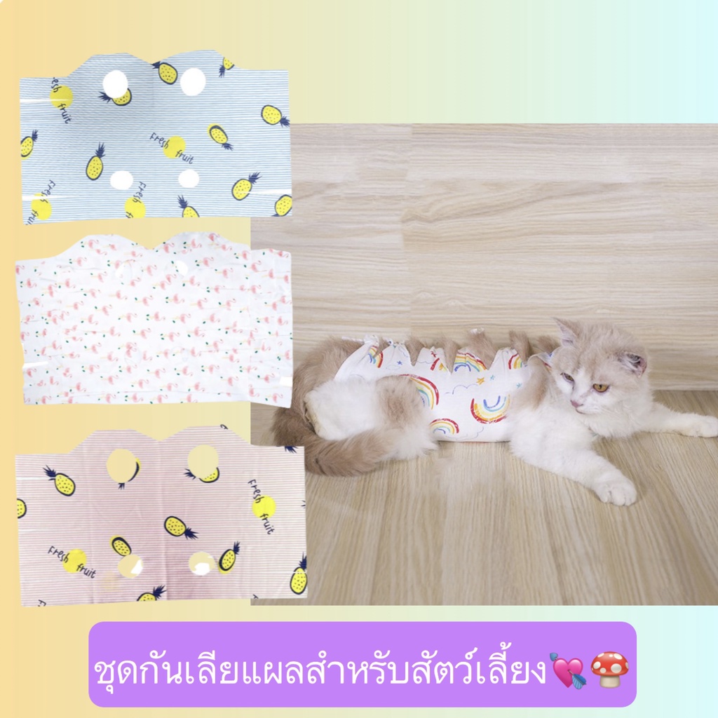 bn-355-ชุดกันเลียแผลสัตว์เลี้ยง-สุนัข-แมว-ชุดหลังผ่าตัดหมา-ชุดแมว-เสื้อหมา-ราคาถูก-พร้อมส่ง