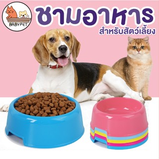 【J036】BABY PET 🐶😺 ชามพลาสติกสัตว์เลี้ยงชามอาหาร ชามสุนัข ชามแมว ชามหมา ชามสัตว์เลี้ยpet cute small bow 🍛💦