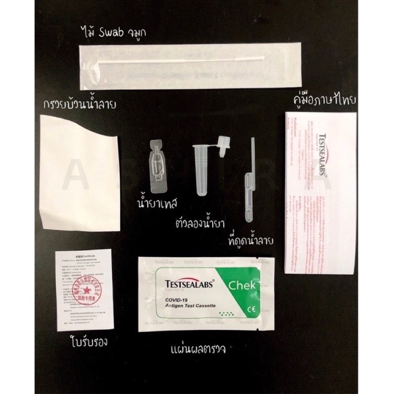 ชุดตรวจ-atk-2-in-1-gica-จิก้า-ตรวจได้ทั้งจมูกและน้ำลาย-testsealabs