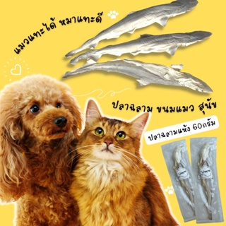 สินค้า ขนมแมว ปลาทั้งตัวพร้อมกระดูกอ่อน  ขนมสุนัข ขนมหมา  umm ปลาฉลามแห้ง 1 ตัว