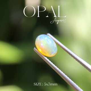 OPAL 🕊พลอยโอปอ เป็นอัญมณีแห่งความหวัง ความรัก ความปรารถนา ช่วยเสริมสร้างความสำเร็จ ป้องกันอันตรายจากศัตรู