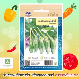 ผลิตภัณฑ์ใหม่ เมล็ดพันธุ์ เมล็ดพันธุ์คุณภาพสูงในสต็อกในประเทศไทย พร้อมส่ง ะให้ความสนใจของคุณมะเขือ มะเขือคางกบ  /ขายด EB