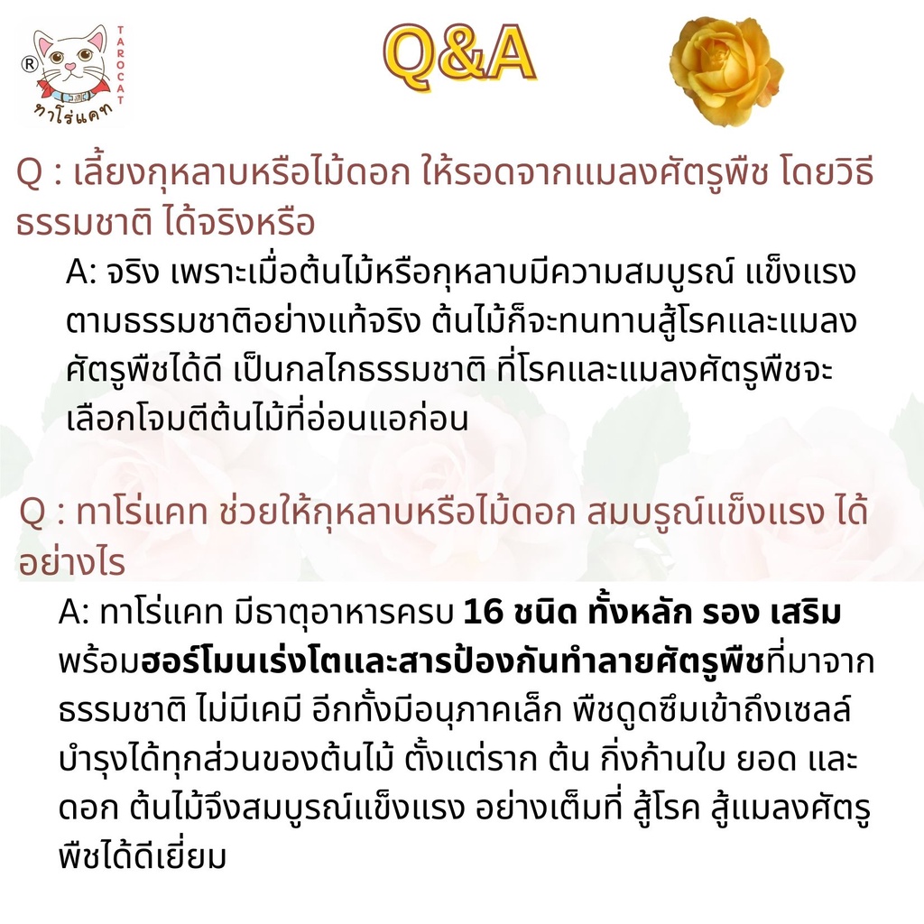 เซทอาหารบำรุงกุหลาบและไม้ดอก-ทาโร่แคท-ใช้แทนปุ๋ยกุหลาบและปุ๋ยไม้ดอก