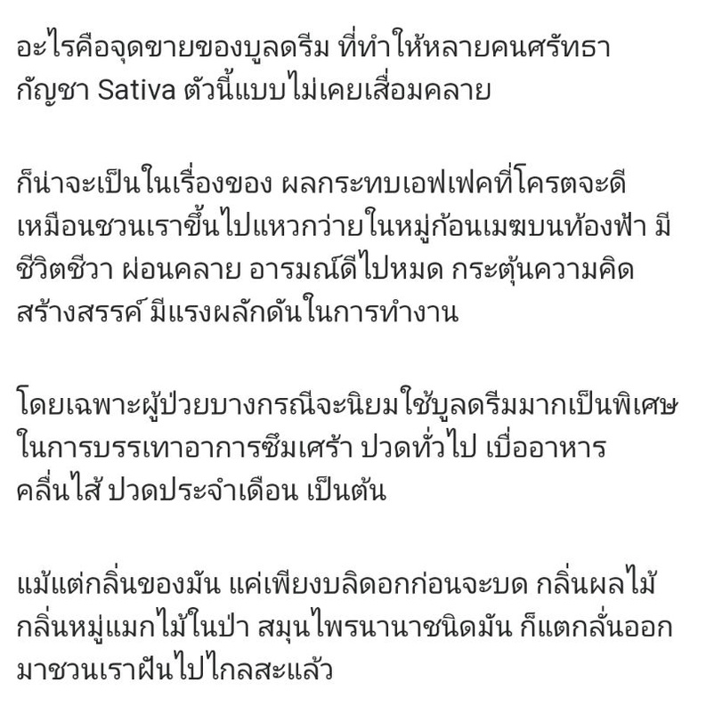 ต้นพันธุ์-กัญชานอก-บลูดรีม-ออโต้-ผ่อนคลาย-ลดอาการปวด-คลายเครียด-ลดวิตกกังวล