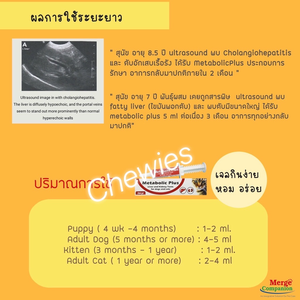 metabolic-plus-exp-04-2024-อาหารเสริมบำรุง-ตับและไต-สุนัขและแมว-20ml-ทานง่ายได้ผลดี-นำเข้าจากยุโรบประเทศเซอร์เบีย