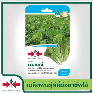 ผลิตภัณฑ์ใหม่ เมล็ดพันธุ์ จุดประเทศไทย ❤เมล็ดพันธุ์East-West Seed เมล็ดอวบอ้วนผักกาดขาวปลี (Chinese cabbage see /ขายด LN