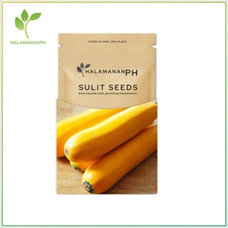 ผลิตภัณฑ์ใหม่ เมล็ดพันธุ์ จุดประเทศไทย ❤4 SEEDS ZUCCHINI GOLD RUSH - SUPER SULIT VEGETABLE SEED PACK [Halamanan /ดอก RSB