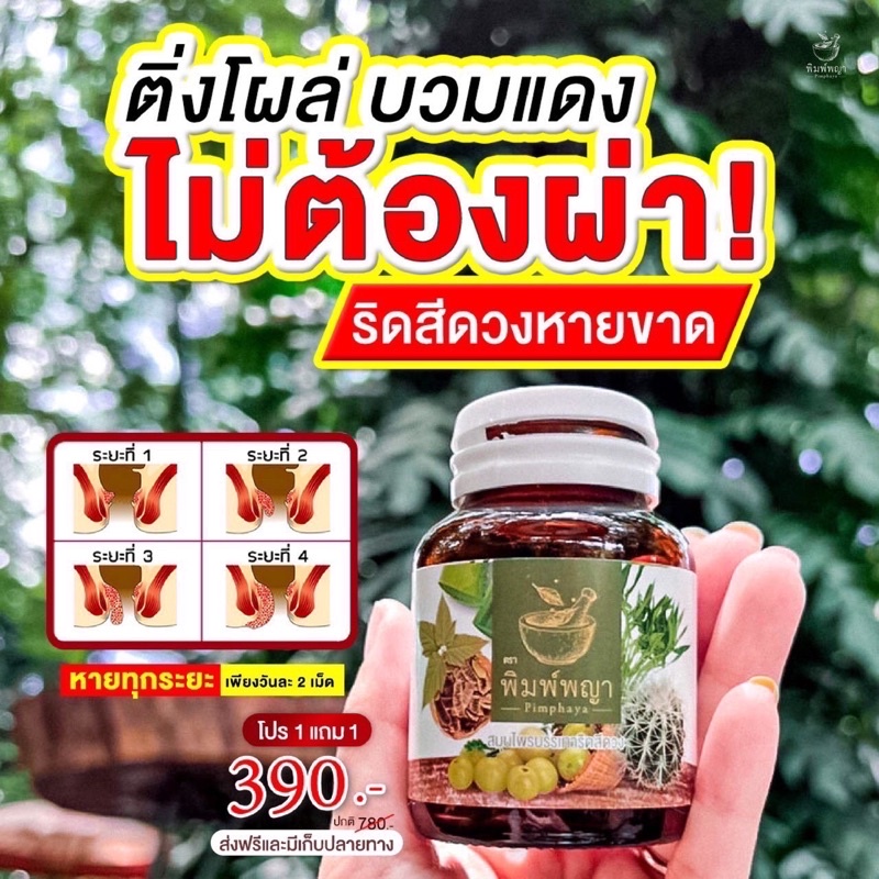 ส่งฟรี-สมุนไพรปราบ-ริดสีดวง-รักษาริดสีดวง-บรรเทาริดสีดวง-ริชชี่พิมพ์พญา-โปร1แถม1