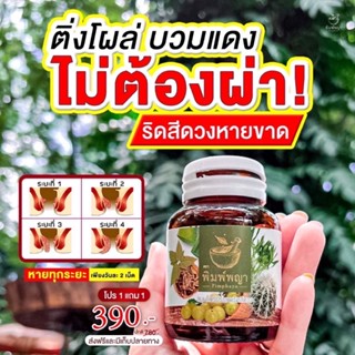 ภาพหน้าปกสินค้า✅ส่งฟรี✅สมุนไพรปราบ ริดสีดวง รักษาริดสีดวง บรรเทาริดสีดวง ริชชี่พิมพ์พญา โปร1แถม1 ที่เกี่ยวข้อง