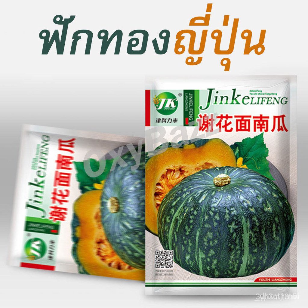 ผลิตภัณฑ์ใหม่-เมล็ดพันธุ์-จุดประเทศไทย-เมล็ดอวบอ้วนฟักทองญี่ปุ่น-เมล็ดฟักทองญี่ปุ่น-20เมล็ด-japanese-pumpkin-s-ดอก-sbd