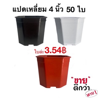 กระถางแคคตัส กระถางแปดเหลี่ยม 4 นิ้ว 50 ใบ (สีดำ สีขาว สีอิฐ สีเทา)