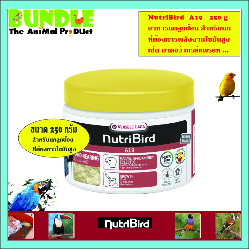 nutribird-a19-250-g-อาหารนกลูกป้อน-สำหรับนก-ที่ต้องการพลังงานไขมันสูง-เช่น-มาคอว์-เกรย์แพรอท